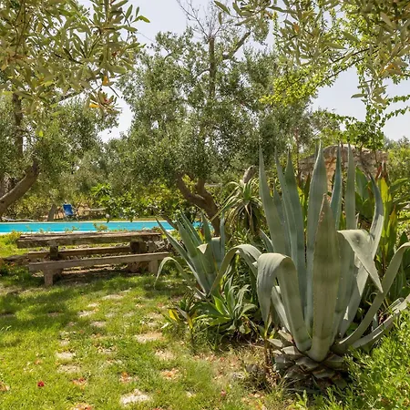 Verdena - Carovigno *